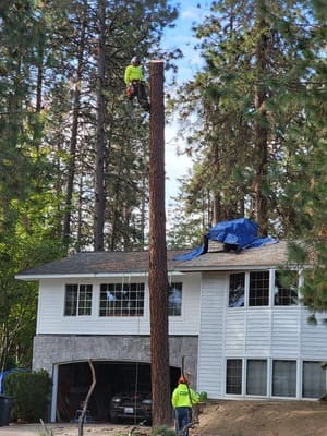 {{ custom_values.service_1 }} in {{custom_values.area_7})