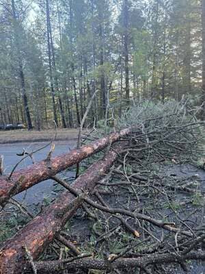 {{ custom_values.service_4 }} in {{custom_values.area_7})