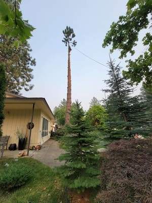 {{ custom_values.service_3 }} in {{custom_values.area_7})