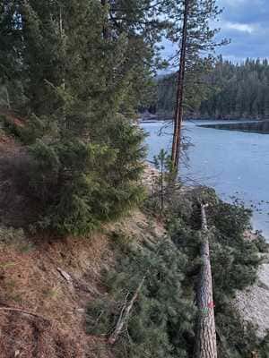 {{ custom_values.service_1 }} in {{custom_values.area_1})