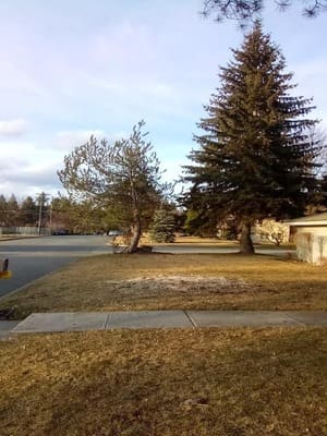 {{ custom_values.service_3 }} in {{custom_values.area_3})