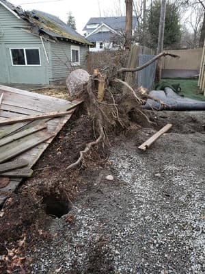 {{ custom_values.service_3 }} in {{custom_values.area_1})