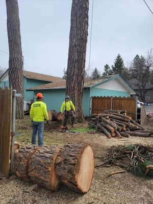 {{ custom_values.service_4 }} in {{custom_values.area_4})