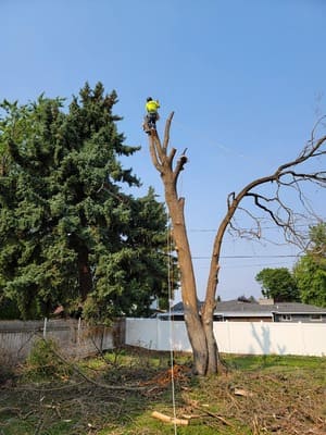 {{ custom_values.service_2 }} in {{custom_values.area_7})