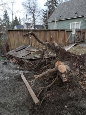  in Coeur d'Alene, ID