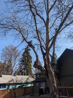 {{ custom_values.service_3 }} in {{custom_values.area_7})