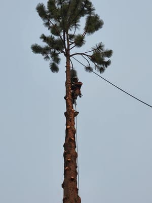 {{ custom_values.service_1 }} in {{custom_values.area_7})