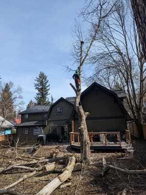  in Coeur d'Alene, ID