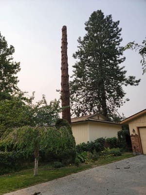 {{ custom_values.service_2 }} in {{custom_values.area_7})