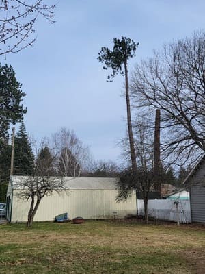 {{ custom_values.service_2 }} in {{custom_values.area_4})