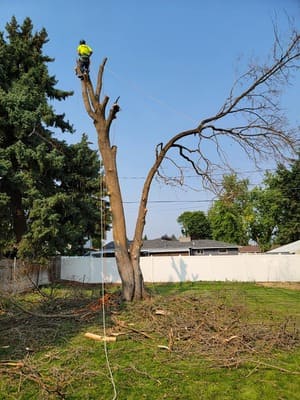 {{ custom_values.service_4 }} in {{custom_values.area_6})