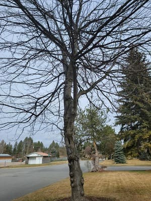 {{ custom_values.service_2 }} in {{custom_values.area_3})