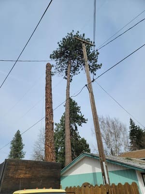 {{ custom_values.service_3 }} in {{custom_values.area_4})