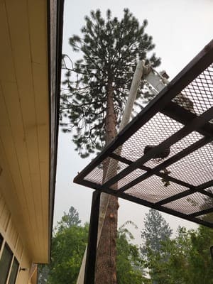 {{ custom_values.service_3 }} in {{custom_values.area_7})