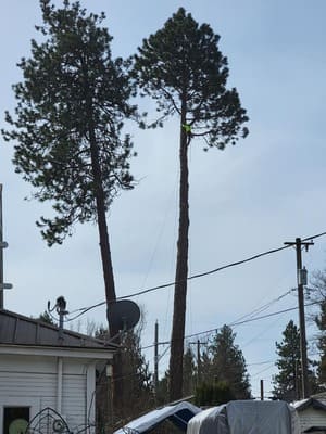 {{ custom_values.service_2 }} in {{custom_values.area_5})