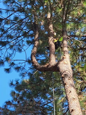  in Coeur d'Alene, ID