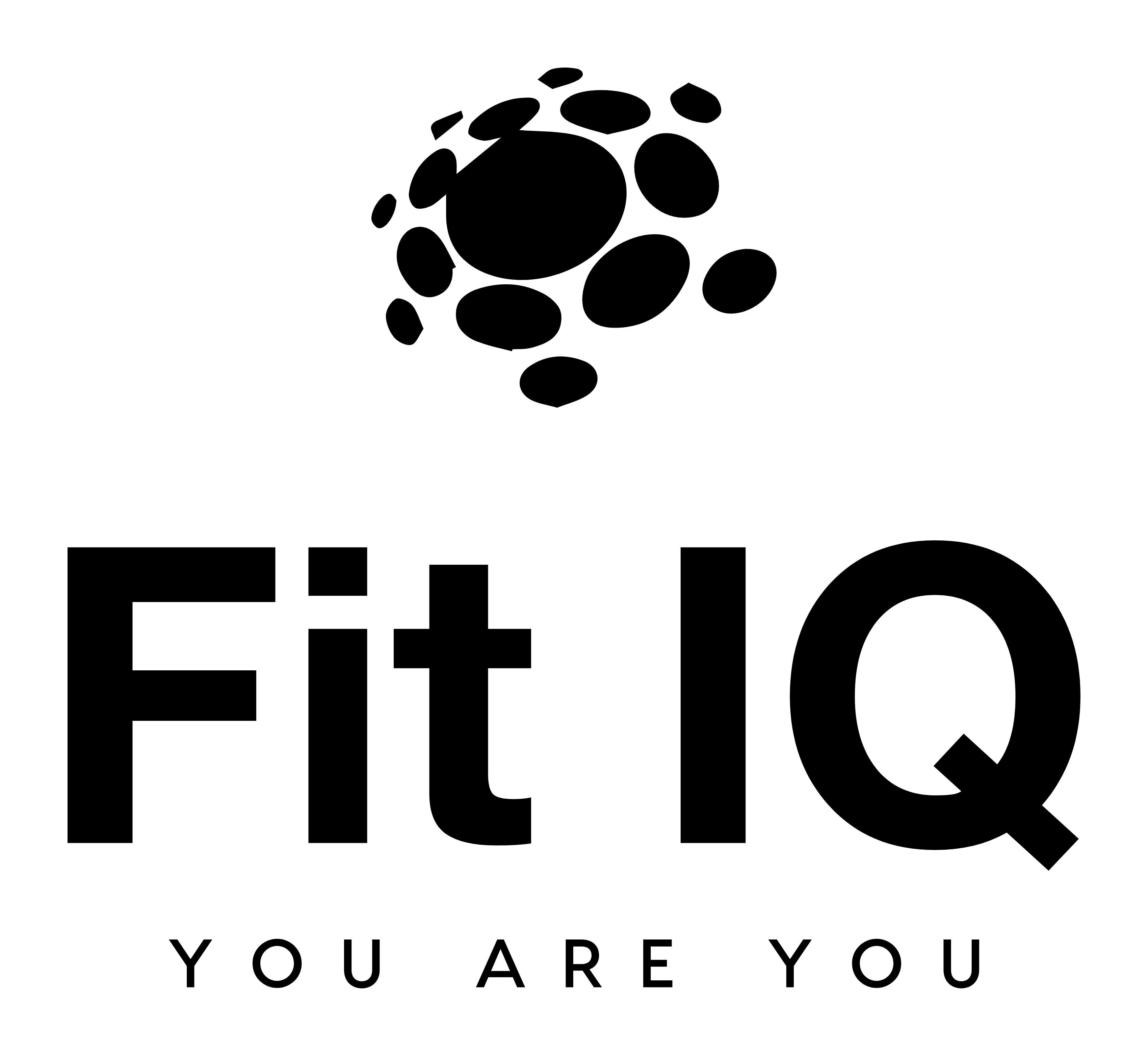 FIT IQ