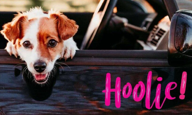 Hoolie Pet Insurance στη ΔΕΘ Hellexpo