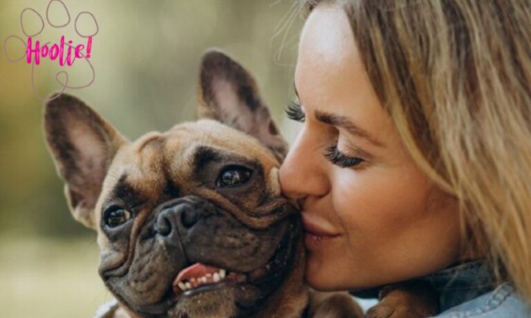 Ευρωπαϊκή εταιρία Pet Insurance στην Ελλάδα