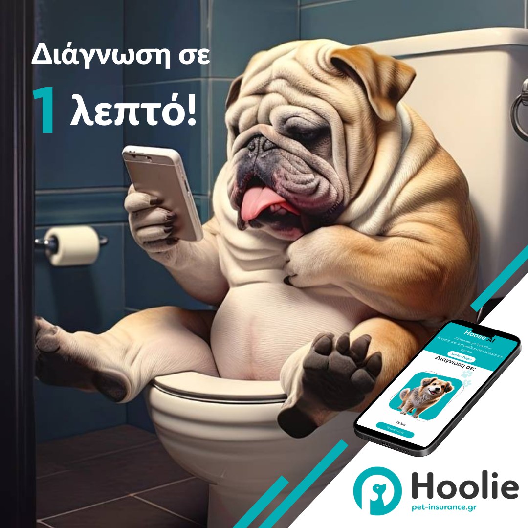 Hoolie Foundation