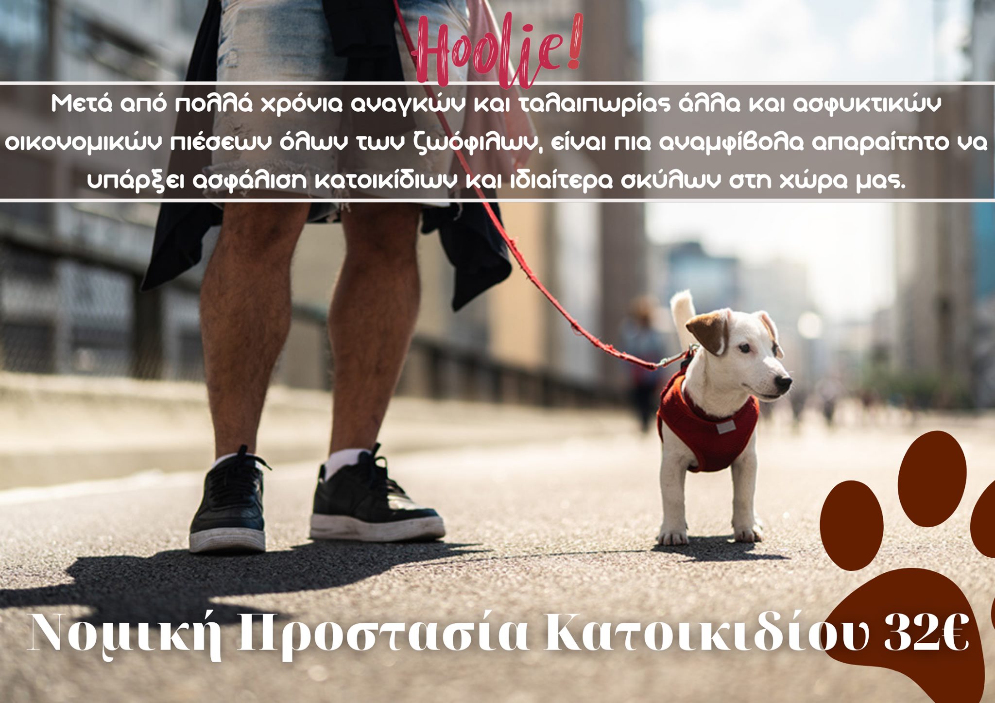 Νομική προστασία κατοικιδίου