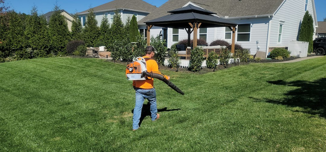 roanoke area landscaping company cleaning up with blower