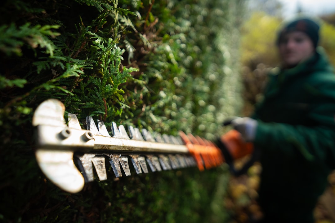 marketing photo of a local roanoke landscaping company marketing photo of a local roanoke landscaping company