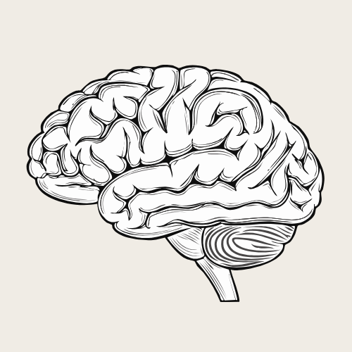 Minimalist brain icon representing neuroscience, mental fitness, and research-backed coaching methods.