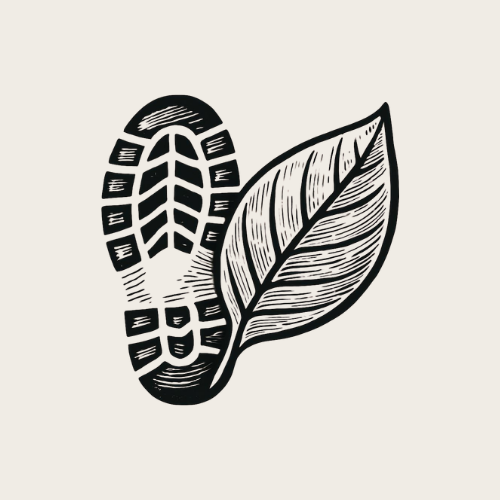 Walking shoe and leaf graphic, representing an in-person walk and talk consultation in Comox Valley.