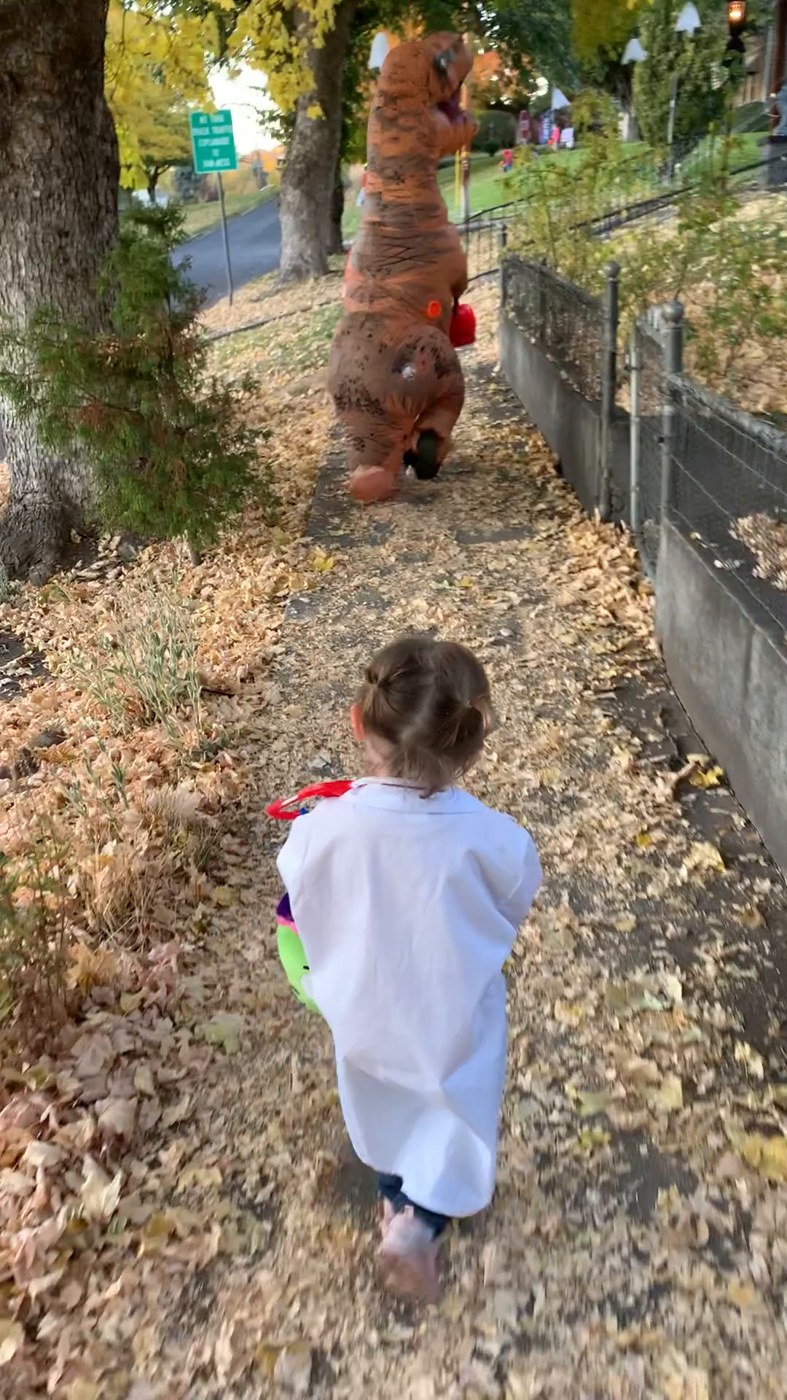 Toddler in a doctor coat following an inflatable T-Rex down a leafy sidewalk