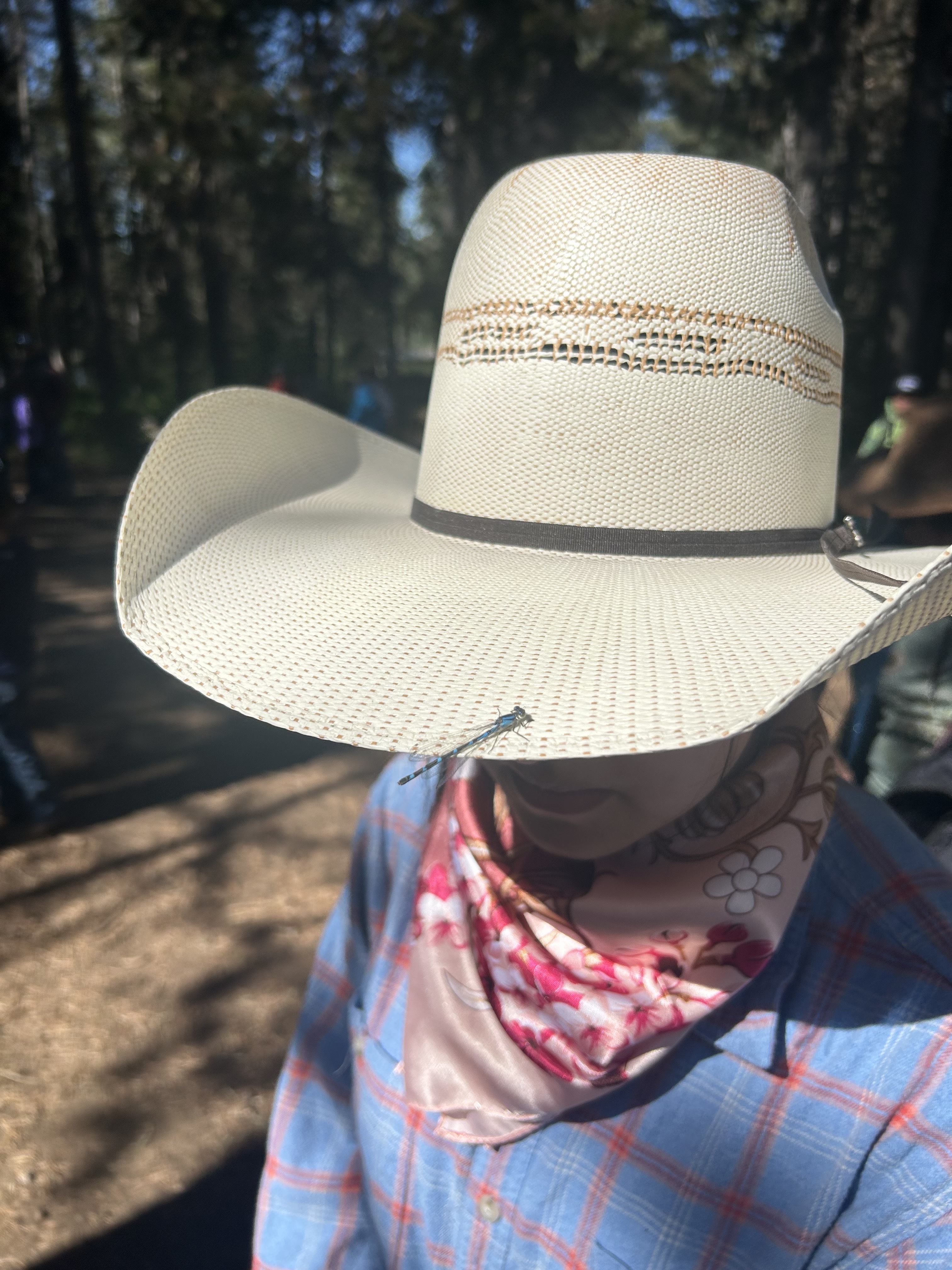 A young girl wearing a woven straw Hangman Hats hat with a dragonfly resting on the brim