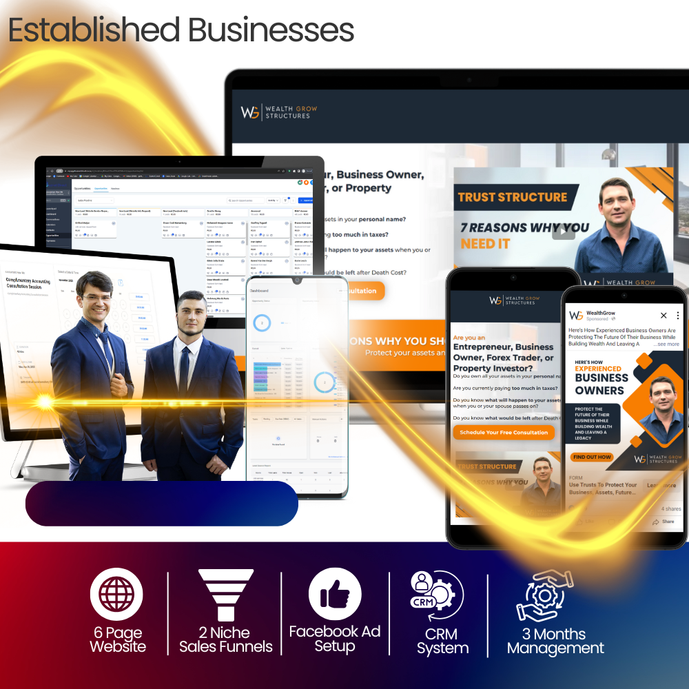 Advanced System For Established Firms