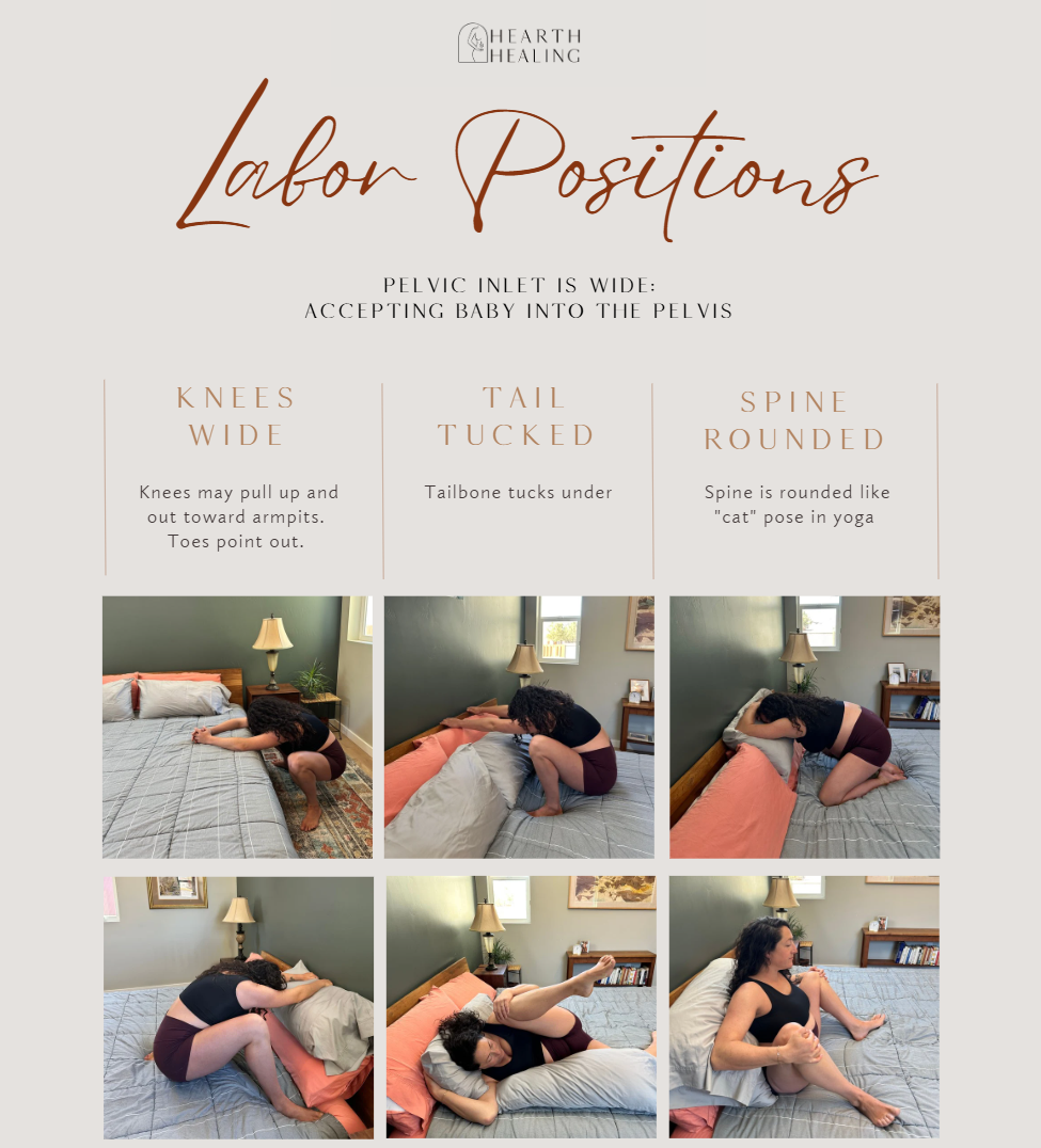 Labor & Delivery Training Manual Cover