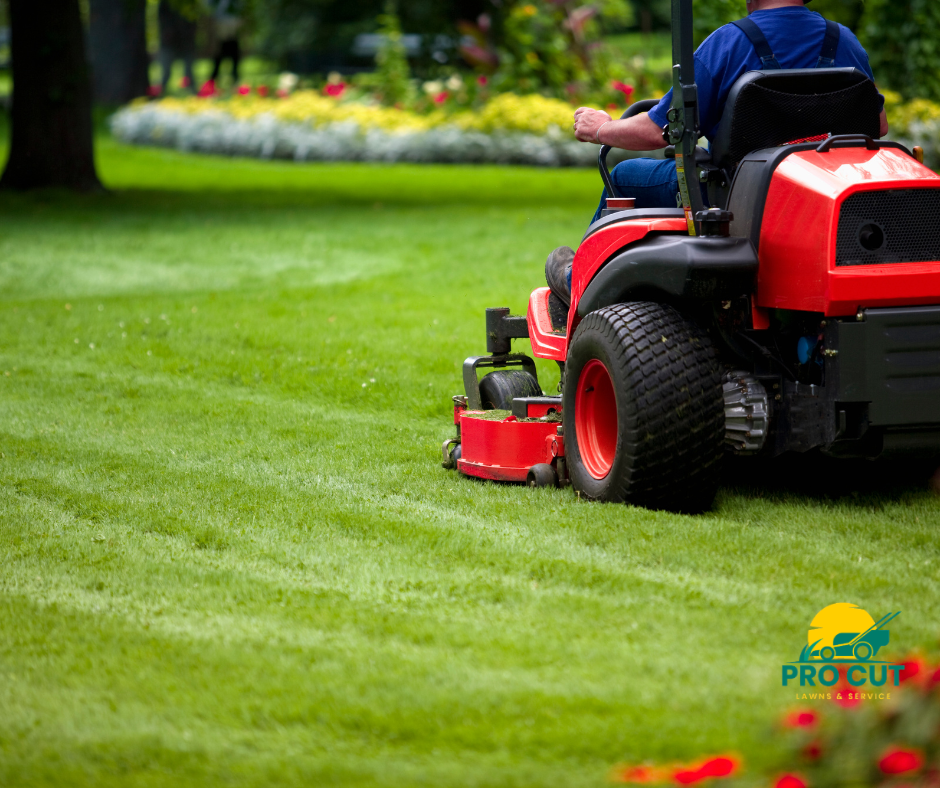 Lawn Mowing & Edging