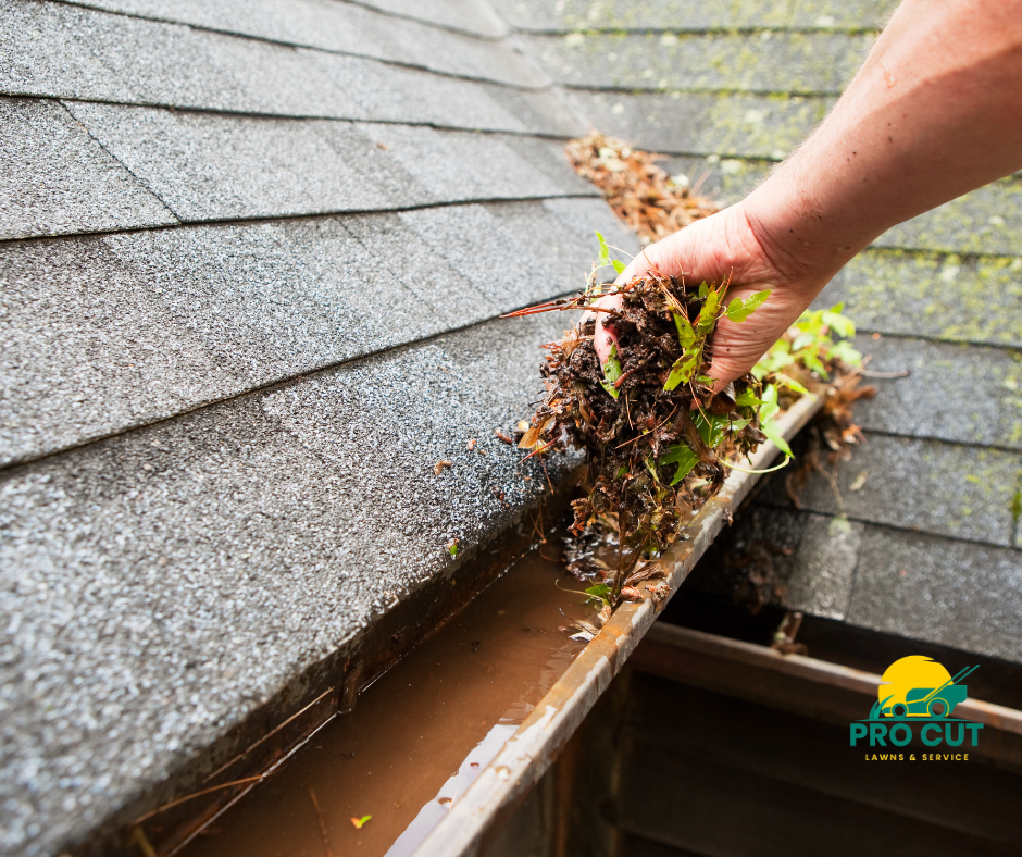 Gutter Cleaning
