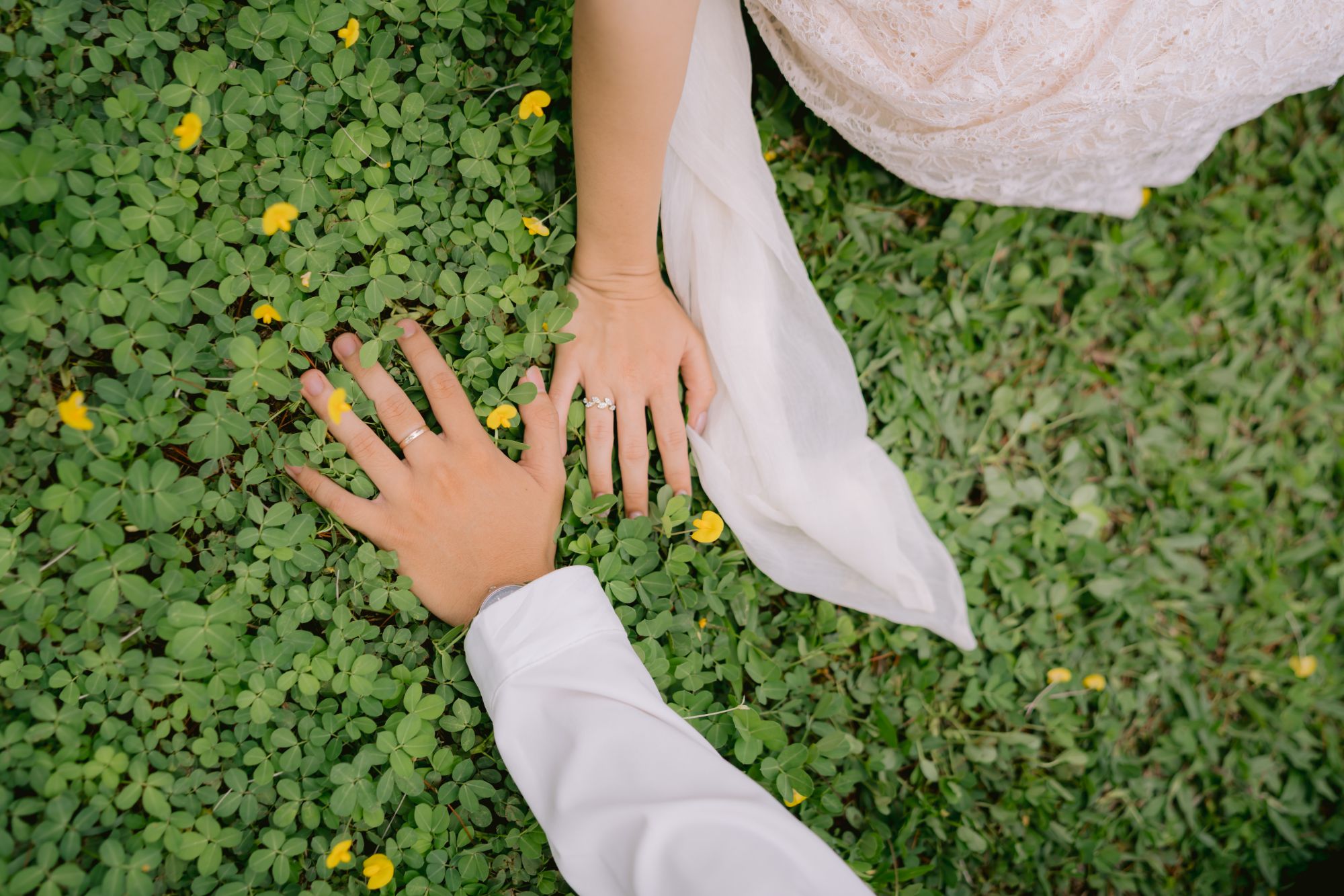 Close-up of the couple's hands with their rings, resting on clover and small yellow flowers