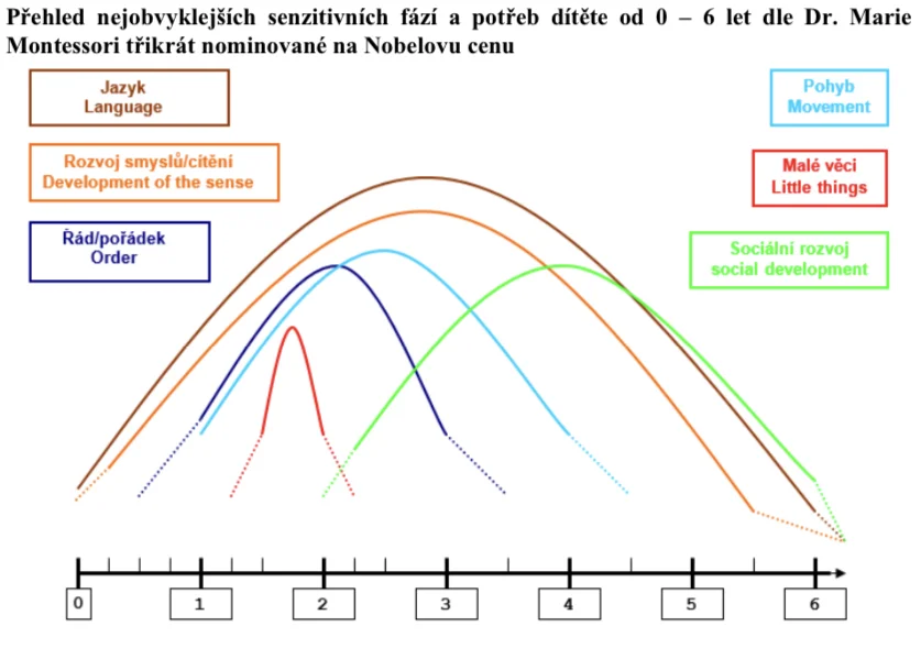 Montessori senzitivní fáze dítěte 0–6 let