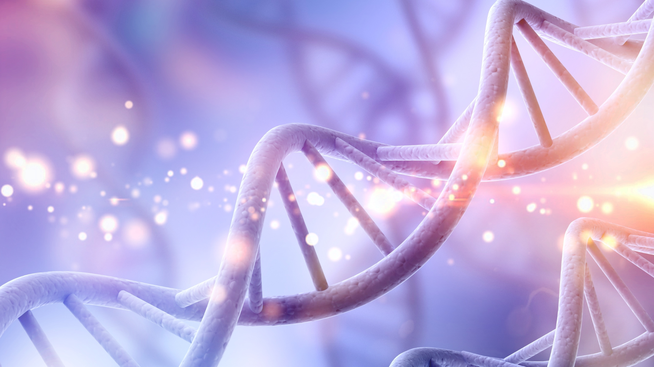 Glowing DNA double helix structure with illuminated strands against blurred purple background—illustrating genetic factors in narcissism, hereditary personality traits, nature versus nurture in narcissistic development, biological predisposition to narcissistic personality disorder, and genetic inheritance of narcissistic traits Glowing DNA double helix structure with illuminated strands against blurred purple background—illustrating genetic factors in narcissism, hereditary personality traits, nature versus nurture in narcissistic development, biological predisposition to narcissistic personality disorder, and genetic inheritance of narcissistic traits