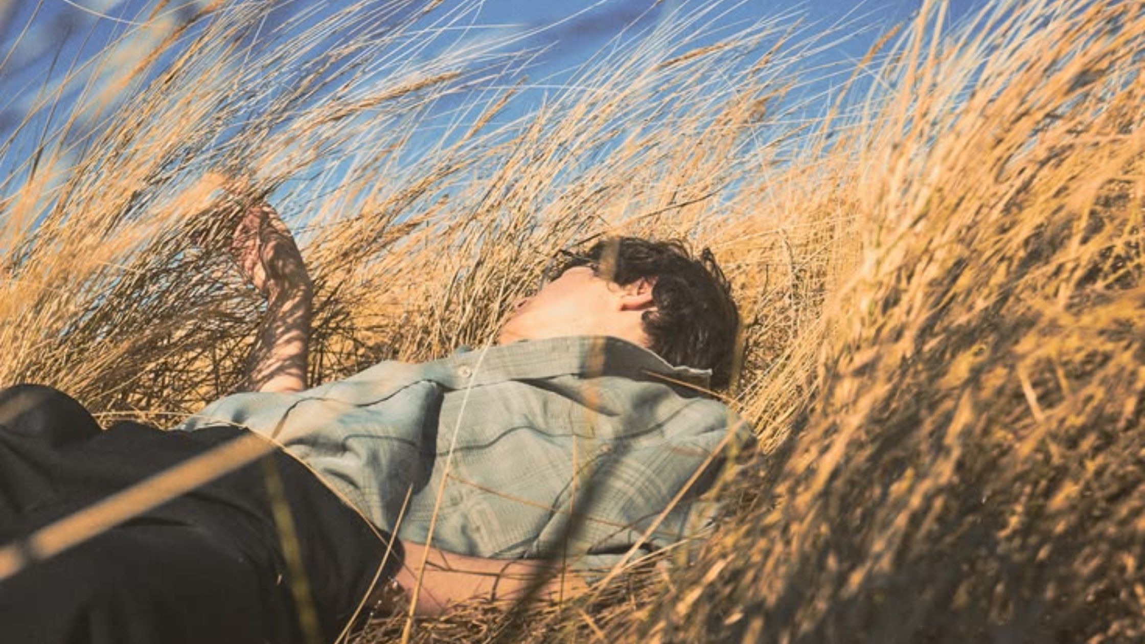 Person lying peacefully in tall golden grass field under blue sky—illustrating acceptance of narcissistic change limitations, realistic expectations about narcissists, emotional healing after narcissistic relationships, moving forward after narcissistic abuse, acceptance and peace in recovery, letting go of hope for narcissist change, and finding peace with the reality of narcissistic personality disorder Person lying peacefully in tall golden grass field under blue sky—illustrating acceptance of narcissistic change limitations, realistic expectations about narcissists, emotional healing after narcissistic relationships, moving forward after narcissistic abuse, acceptance and peace in recovery, letting go of hope for narcissist change, and finding peace with the reality of narcissistic personality disorder