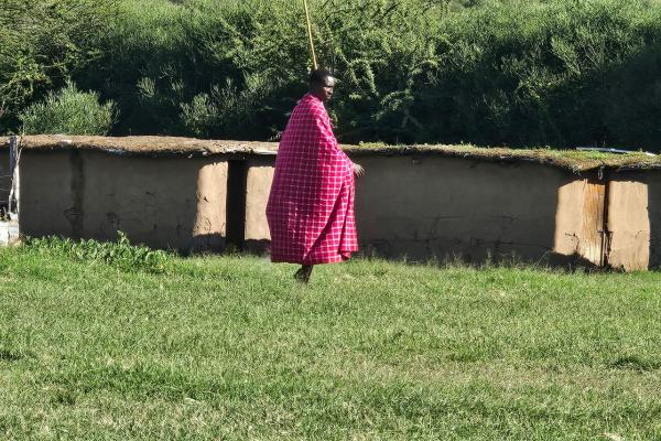 Maasai Homes (Manyattas)