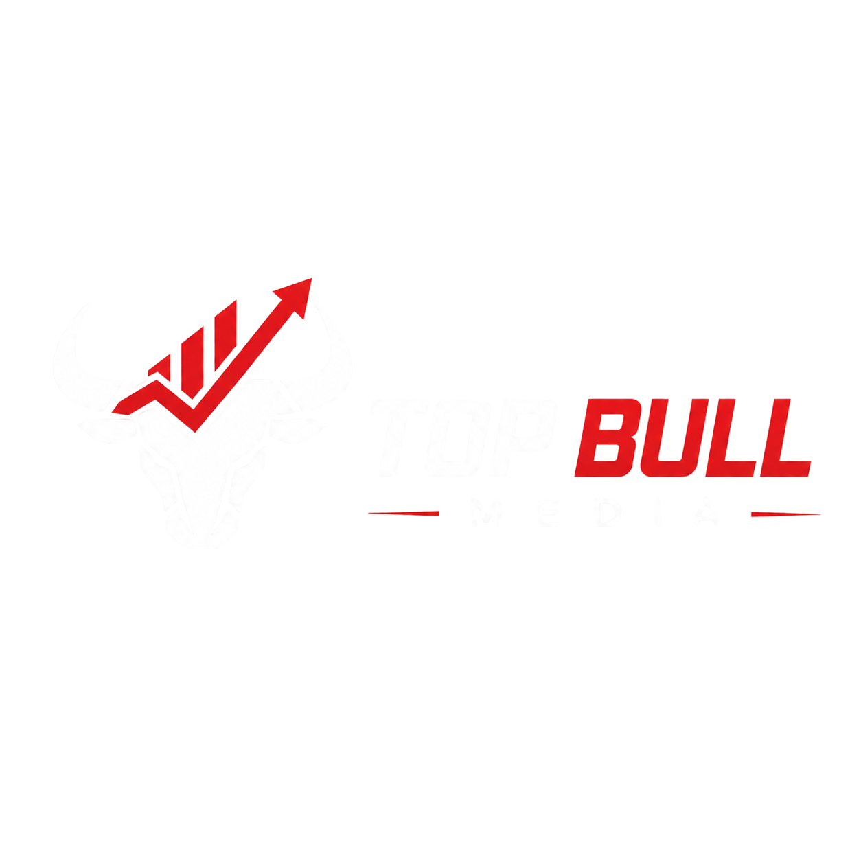 Top Bull Media - Agencia de Marketing Digital Lima Peru