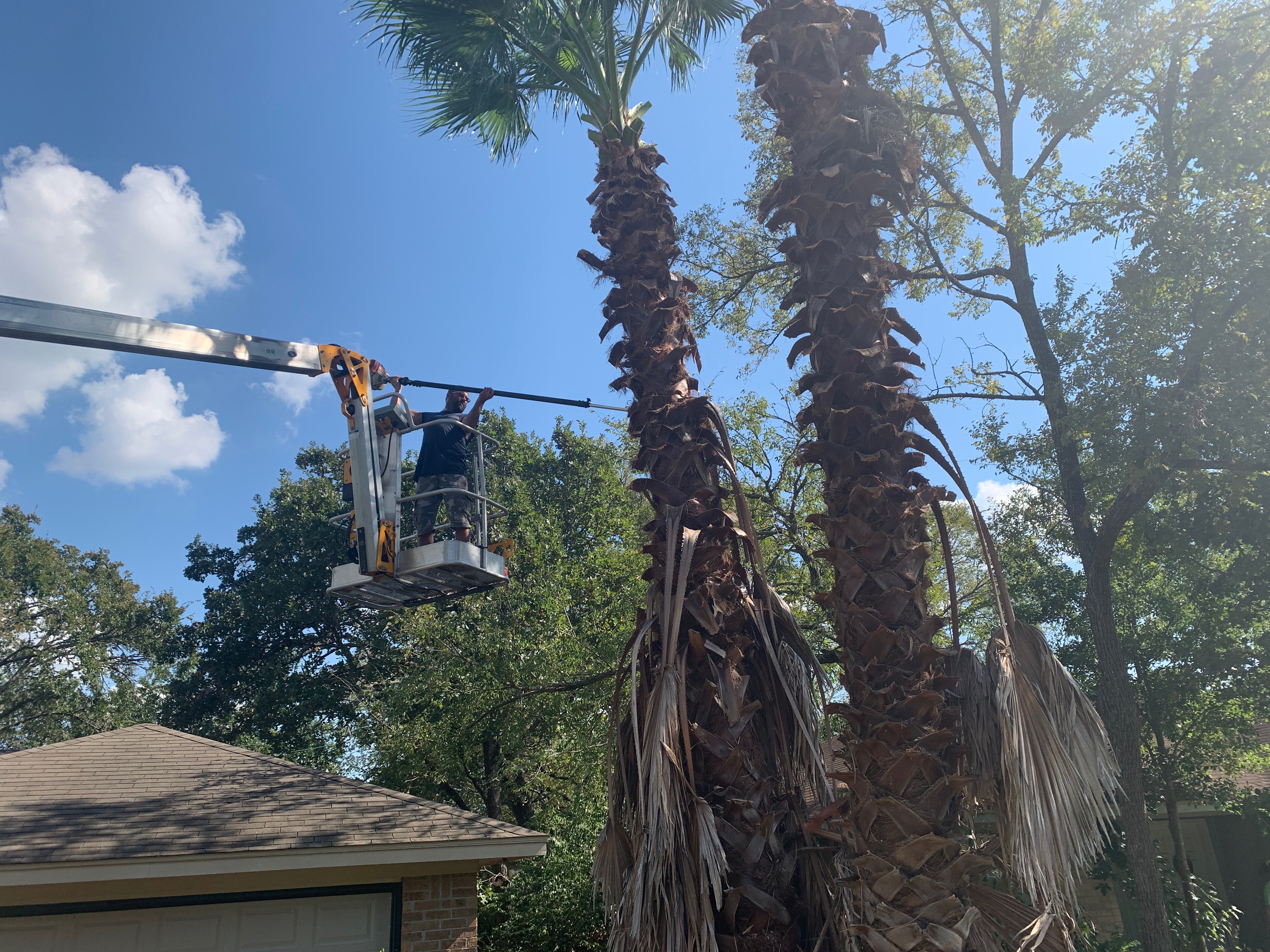 Hedge and shrub trimming