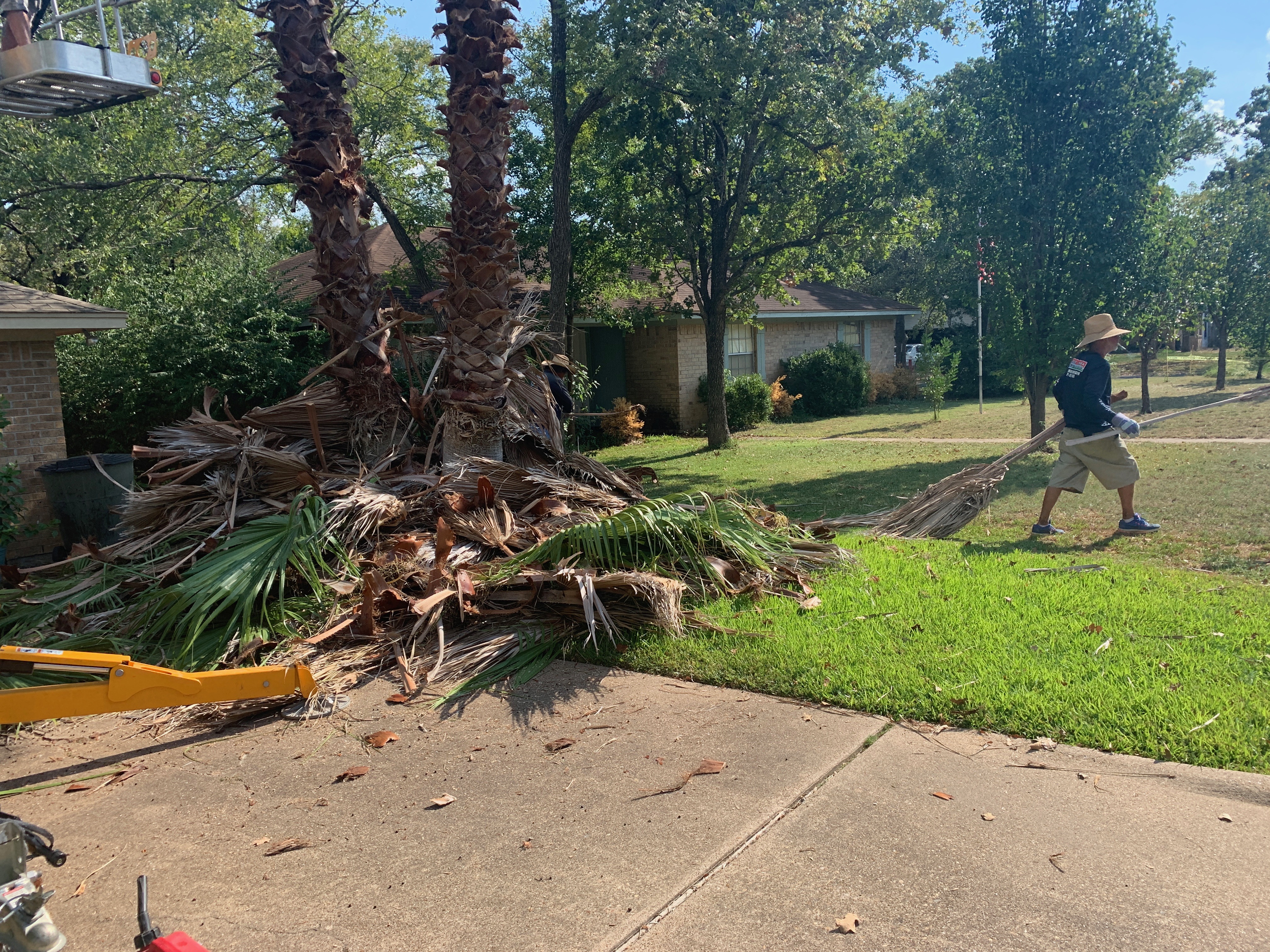 Landscape Clean Out and debris removal