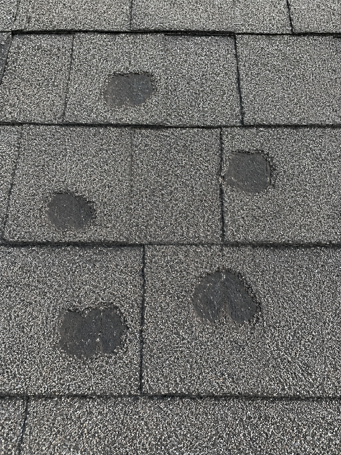 bruised shingle mat hail damage Stoughton WI | Badger Roofing of Wisconsin