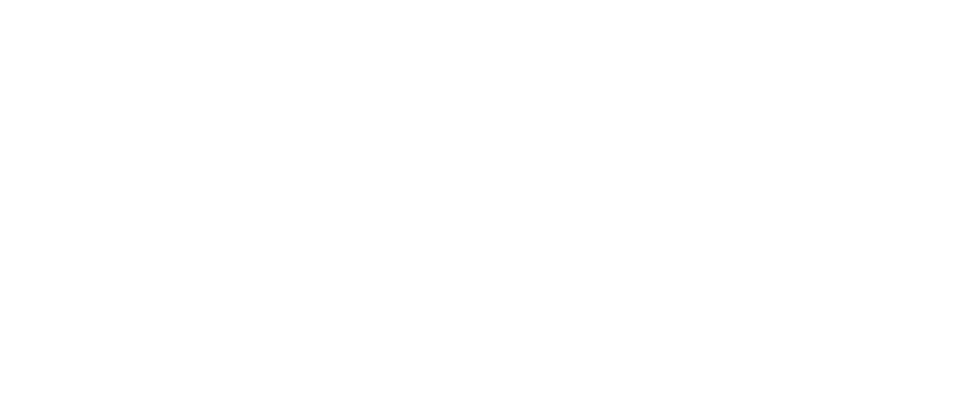 Tim Wagner Professional Pointer Logo