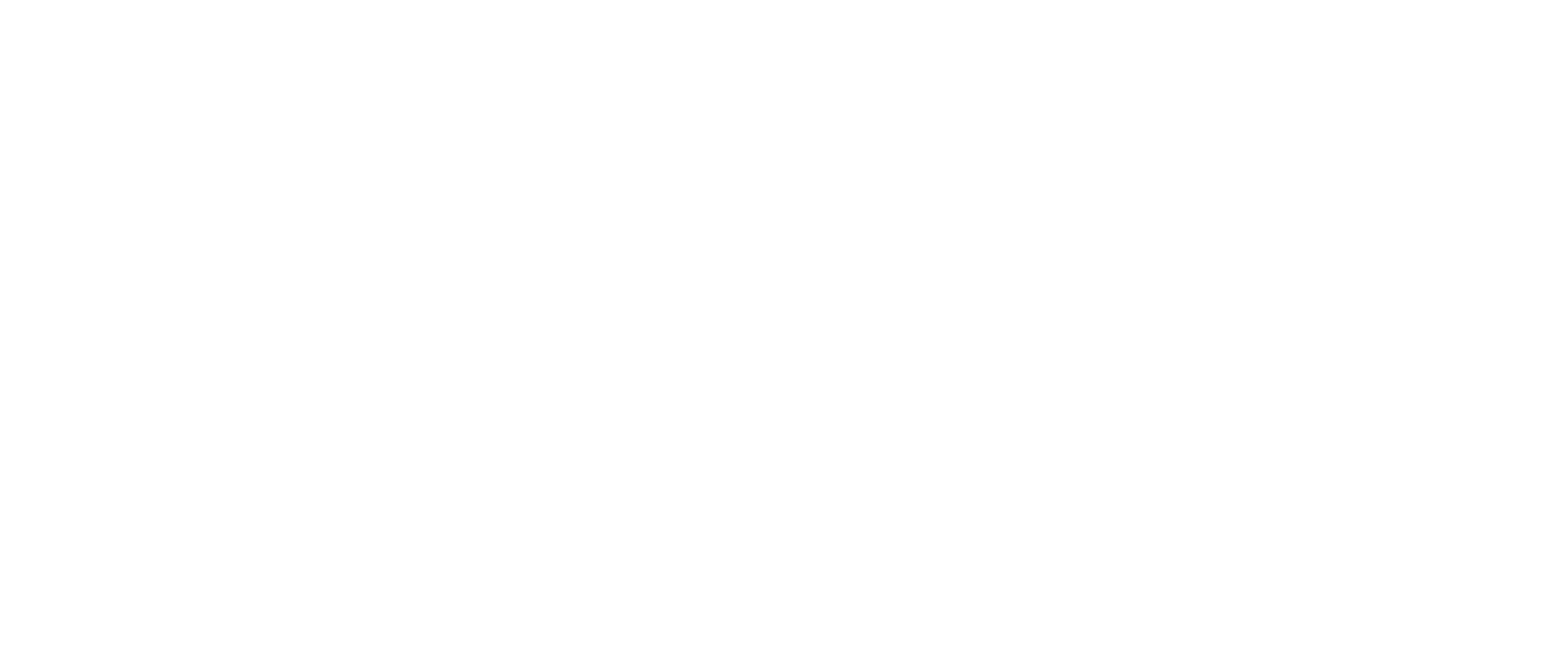 Tim Wagner Logo