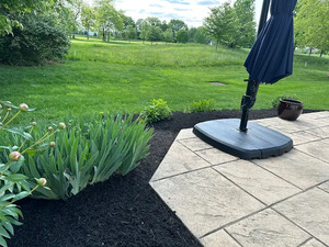 {{ custom_values.service_3 }} in {{custom_values.area_3})