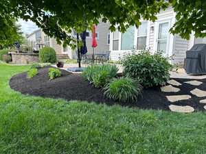 {{ custom_values.service_3 }} in {{custom_values.area_3})