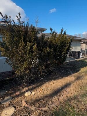 {{ custom_values.service_3 }} in {{custom_values.area_2})