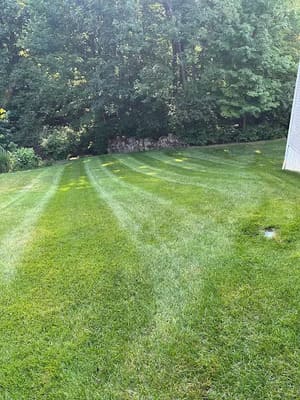 Landscape Design in Columbus